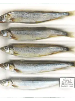 FROZEN SHISHAMO